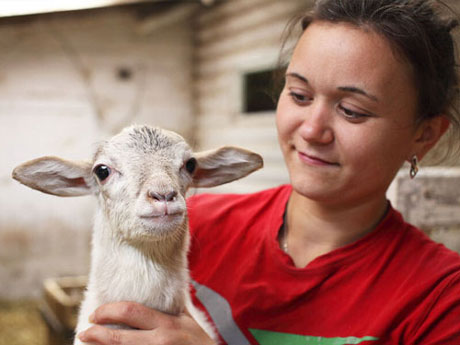 наши животные