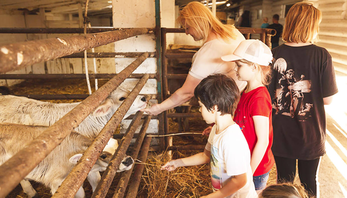 экскурсия на ферму