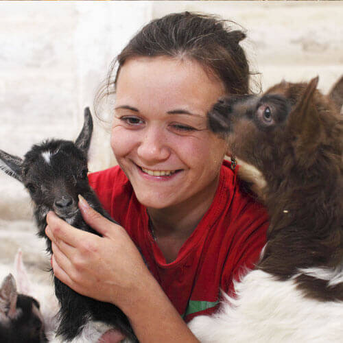 отзыв о лукино