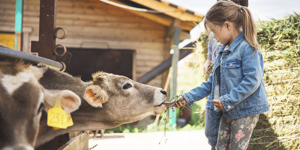 отзыв о лукино