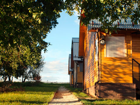 лошади на ферме